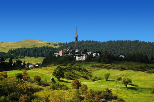 A typical Swiss alpine meadow, and small town