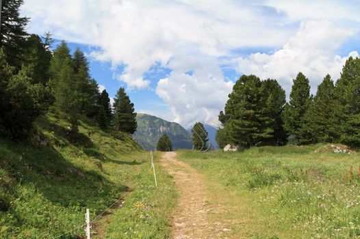 beautiful mountain path on summer in Italian Dolomites