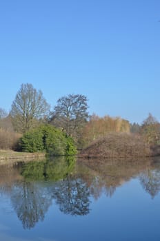 Winter lake in portrait aspect