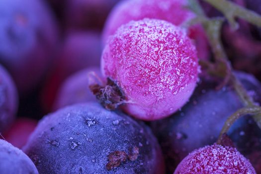 Macro view of frozen berries: blackcurrant, redcurrant, blueberry