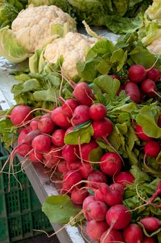 radishes and cauliflower at the local market