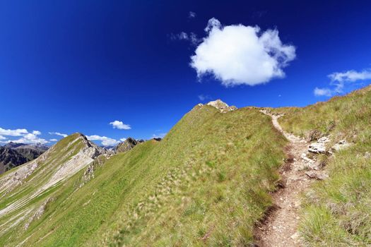 summer landscape of Italian Dolomites in San Pellegrino pass on a bright sunny day
