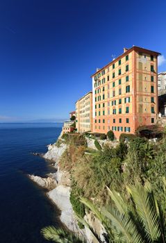 homes over the sea in Camogli, ancient small town in Liguria, Italy