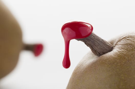 Green pears with red sealing wax on stalk