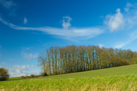 hill in a green field in english countryside