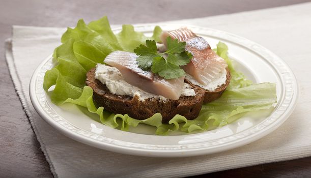 Two sandwiches with cottage cheese, herring and parsley on the lettuce