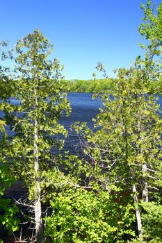 View through pine trees of Little Horsehead Lake in northern Wisconsin.