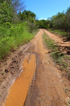 A dirt road runs through Beef Island of the British Virgin Islands.