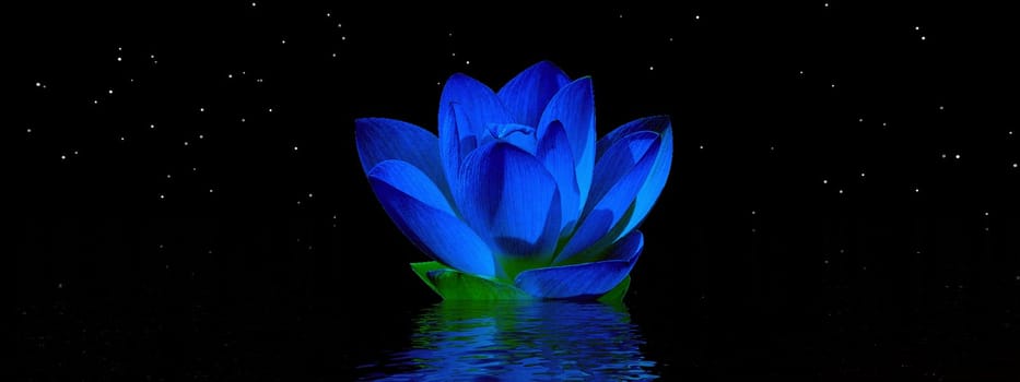 water lily blue and sky