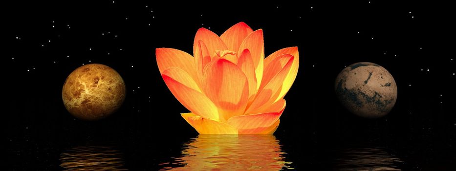 water lily orange and planets and sky
