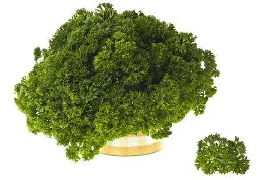 a curly parsley isolated on white background