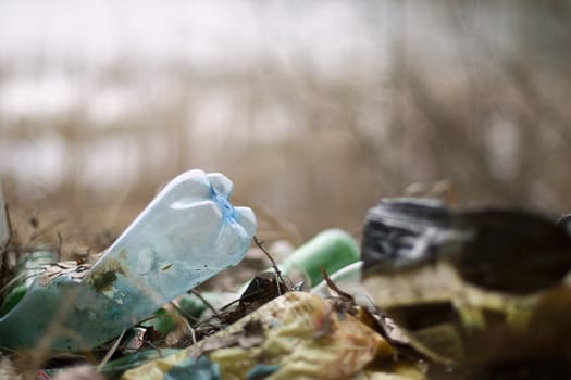 Plastic rubbish in Polish forest.