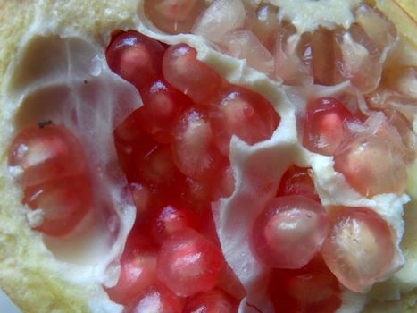 Pomegranate