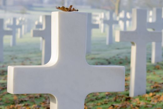 white cross in a military cemetery,