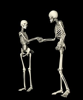 Pair of skeletons shaking hands when meeting each other.
