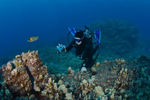 Scuba Diver photographing a Reef in Hawaii