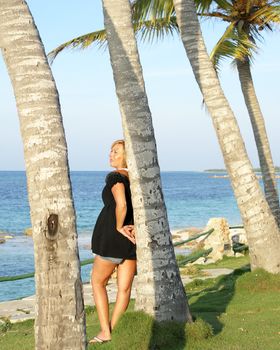 A woman leans on a palm tree to take in the view of the ocean.
