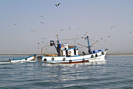 Fishing boat returning to home harbor with lots of seagulls