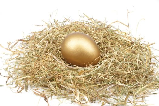 Golden egg in straw
