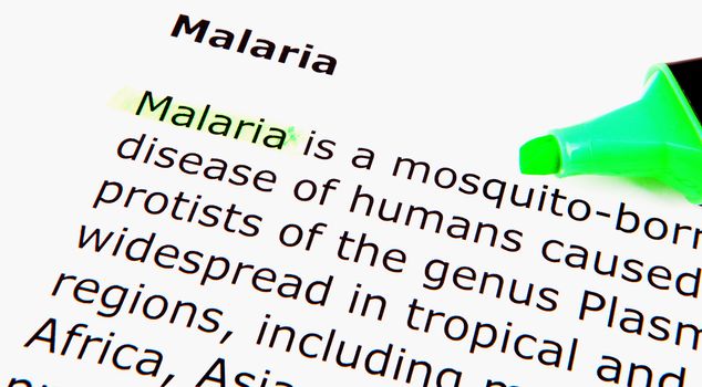Malaria