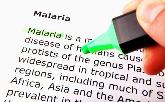 Malaria