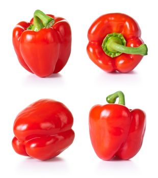 Paprika vegetable set on white background. Collection of red pepper. Each one shot separately