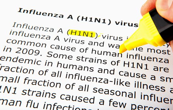 Images of the H1N1 Influenza Virus