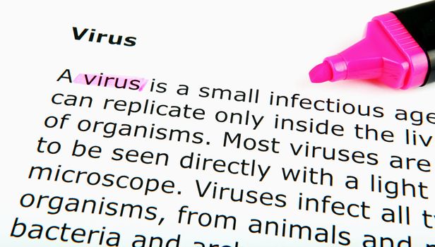 Virus
