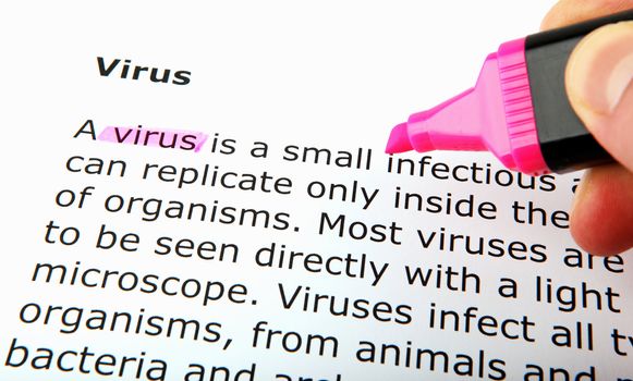 Virus