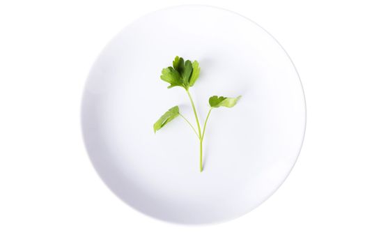 Parsley on plate, isolated on white