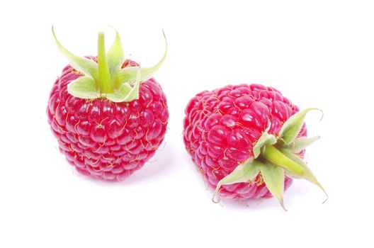 fresh raspberry closeup isolated on white background