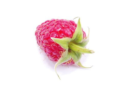 fresh raspberry closeup isolated on white background