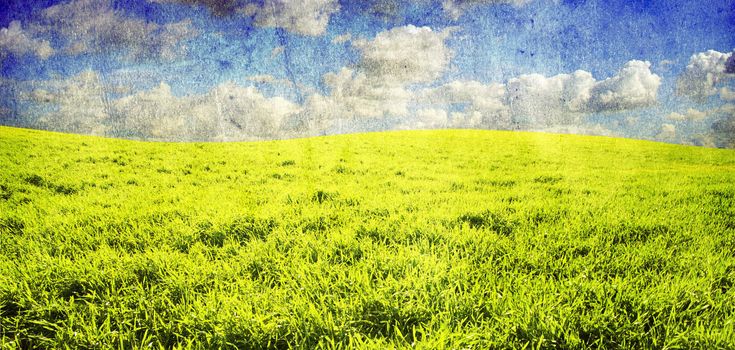 grunge image of green field and blue sky