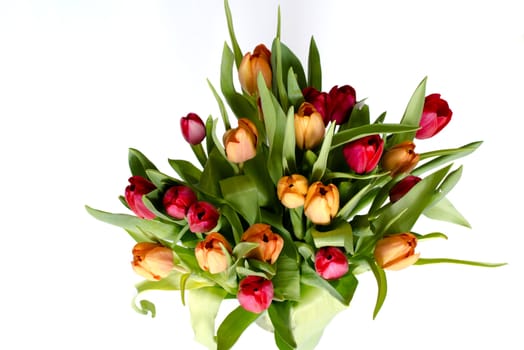 Bouquet of tulips on white background with space for your copytext