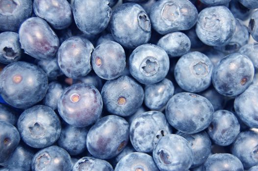 Closeup image of fresh blueberries