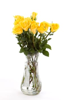 A dozen yellow friendship roses in a vase against a white background.