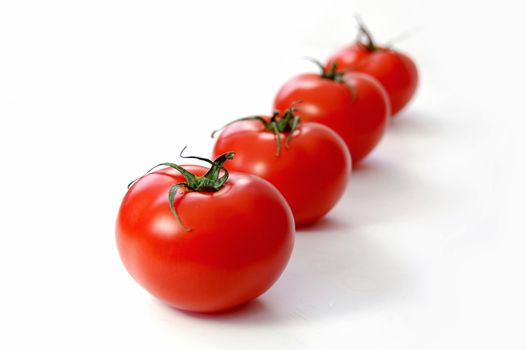 Row of fresh vine tomatoes 