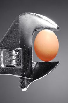 Egg shell inside a pliers 