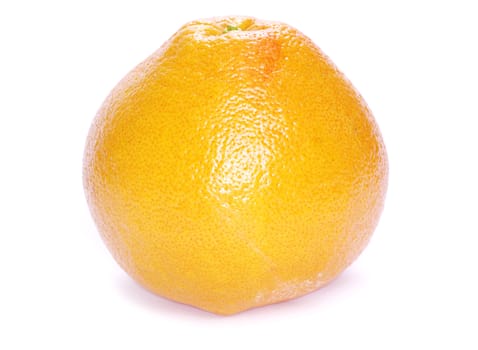  grapefruit isolated on a white