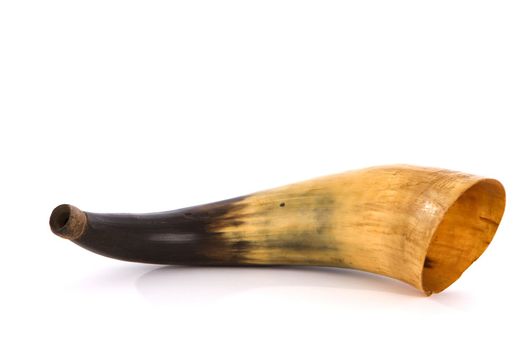 Antique horn made from the antler of a bull on white background.