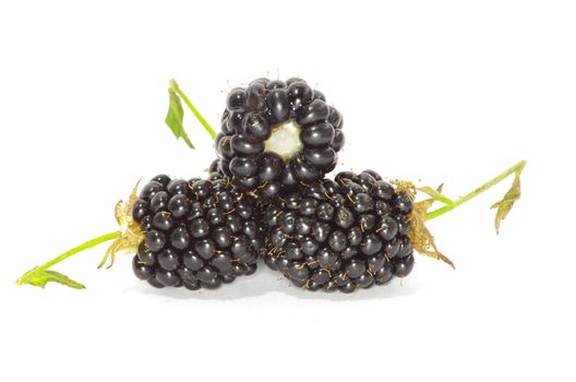 blackberry isolated on white background