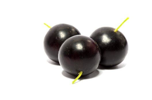 black currant fruits isolated on white background