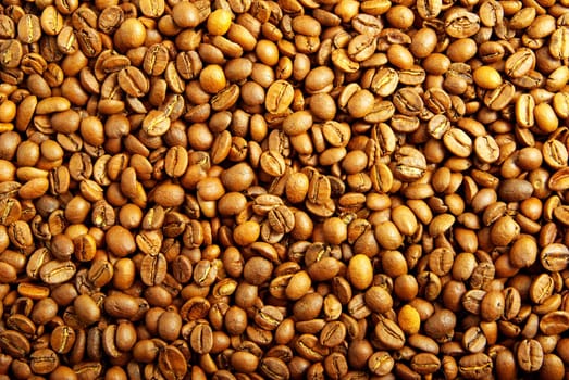 Close up of the aromatic coffe beans