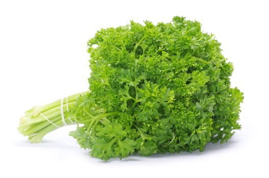 Bunch of fresh green parsley isolated on white background