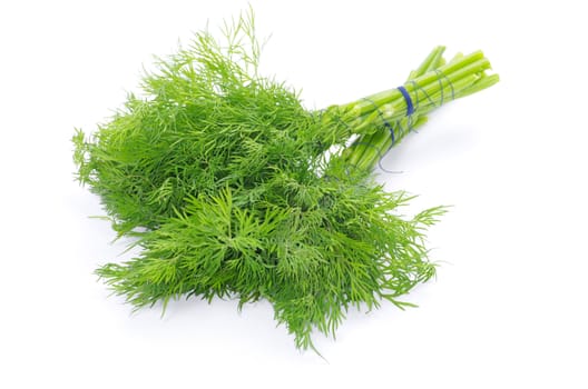 dill on a white background