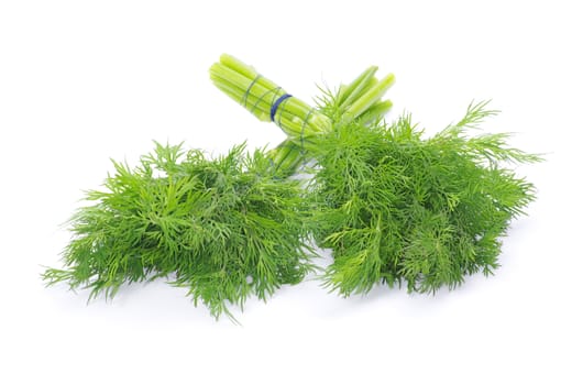 dill on a white background