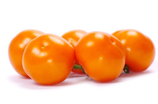  tomato isolated on a white