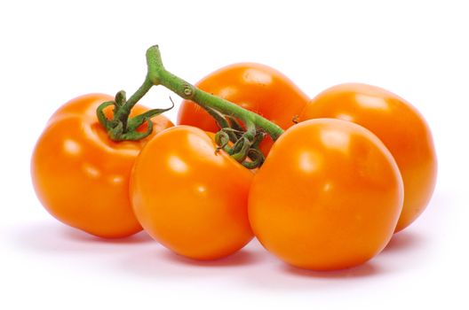  tomato isolated on a white
