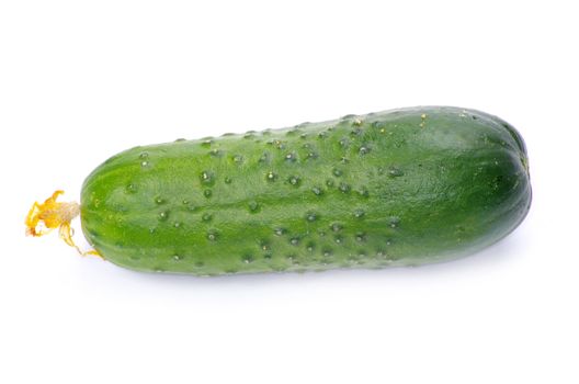 cucumbers on the white background