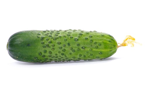 cucumbers on the white background